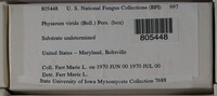 Image Associated With the Occurence